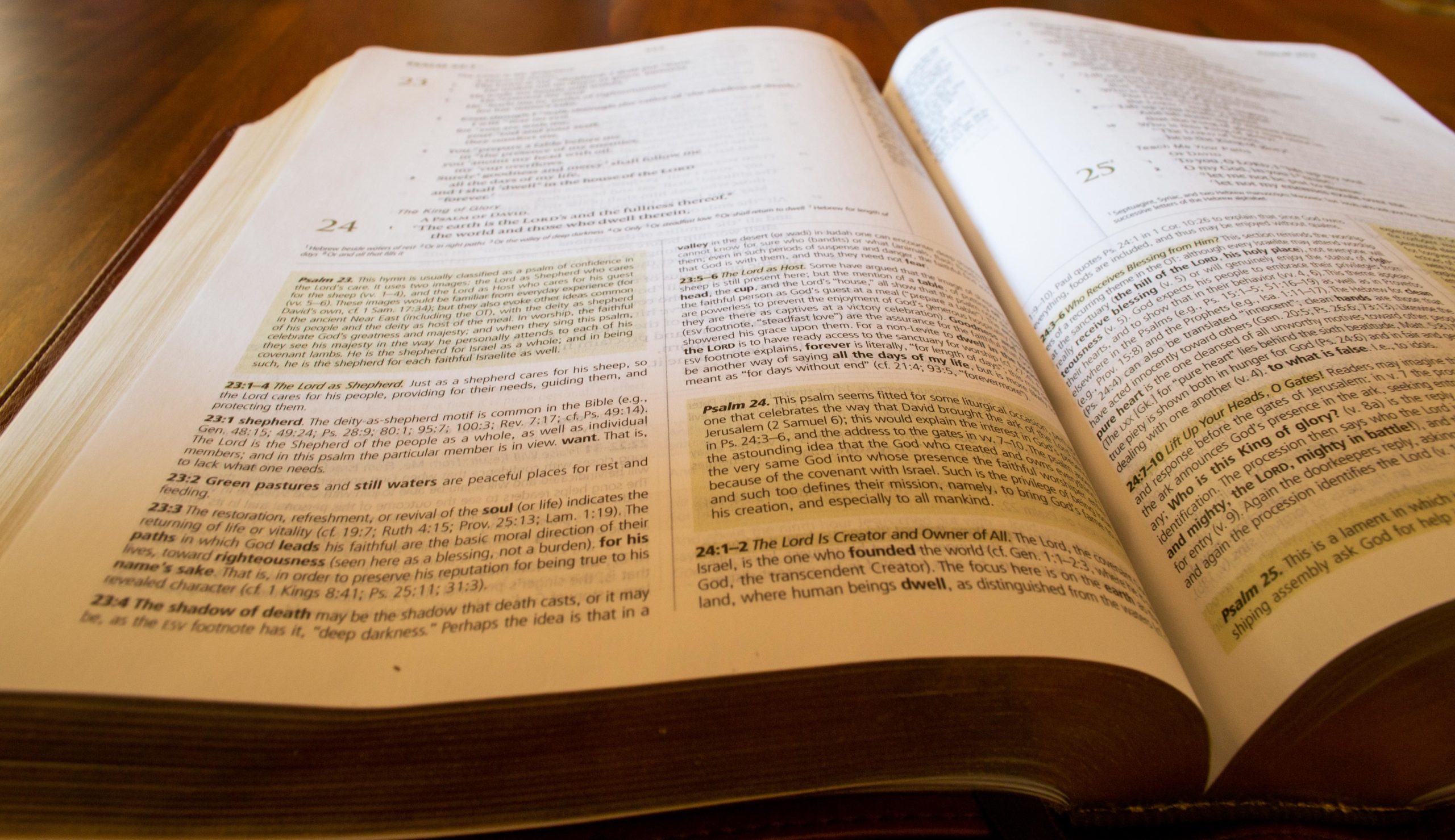 What Is A Biblical Worldview In Education