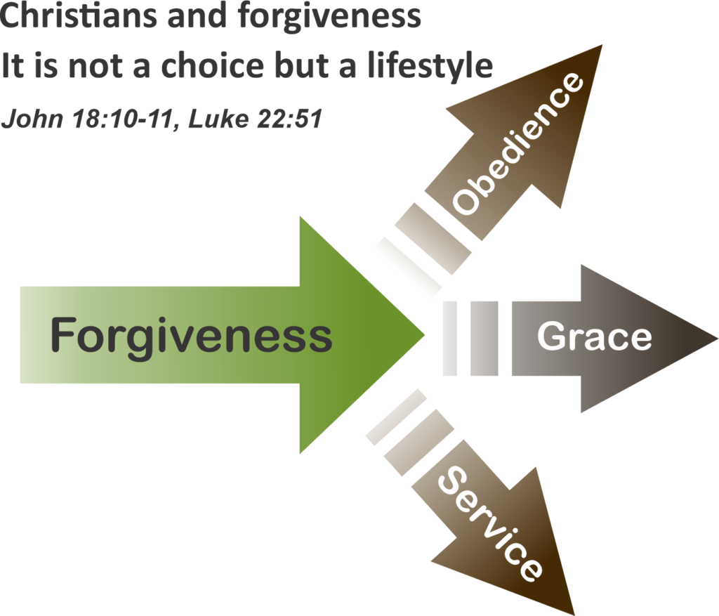 This image has an empty alt attribute; its file name is Forgiveness-remake-1-1024x877.png